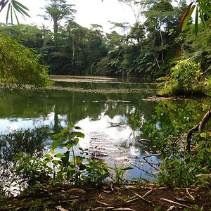 Rainforest Eco Lodge